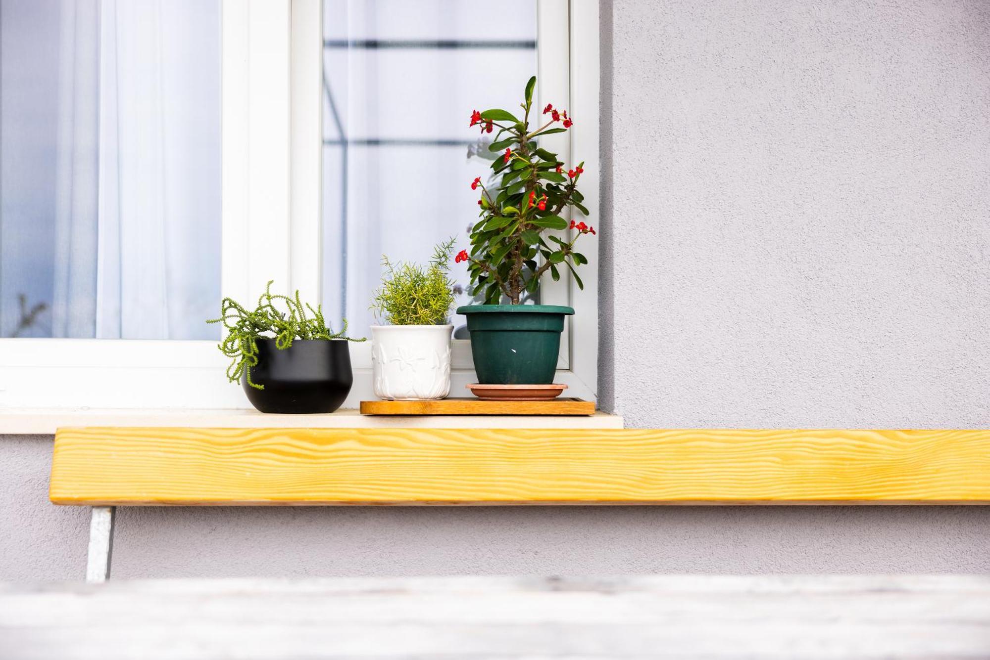Apartman Nora Omis Ngoại thất bức ảnh